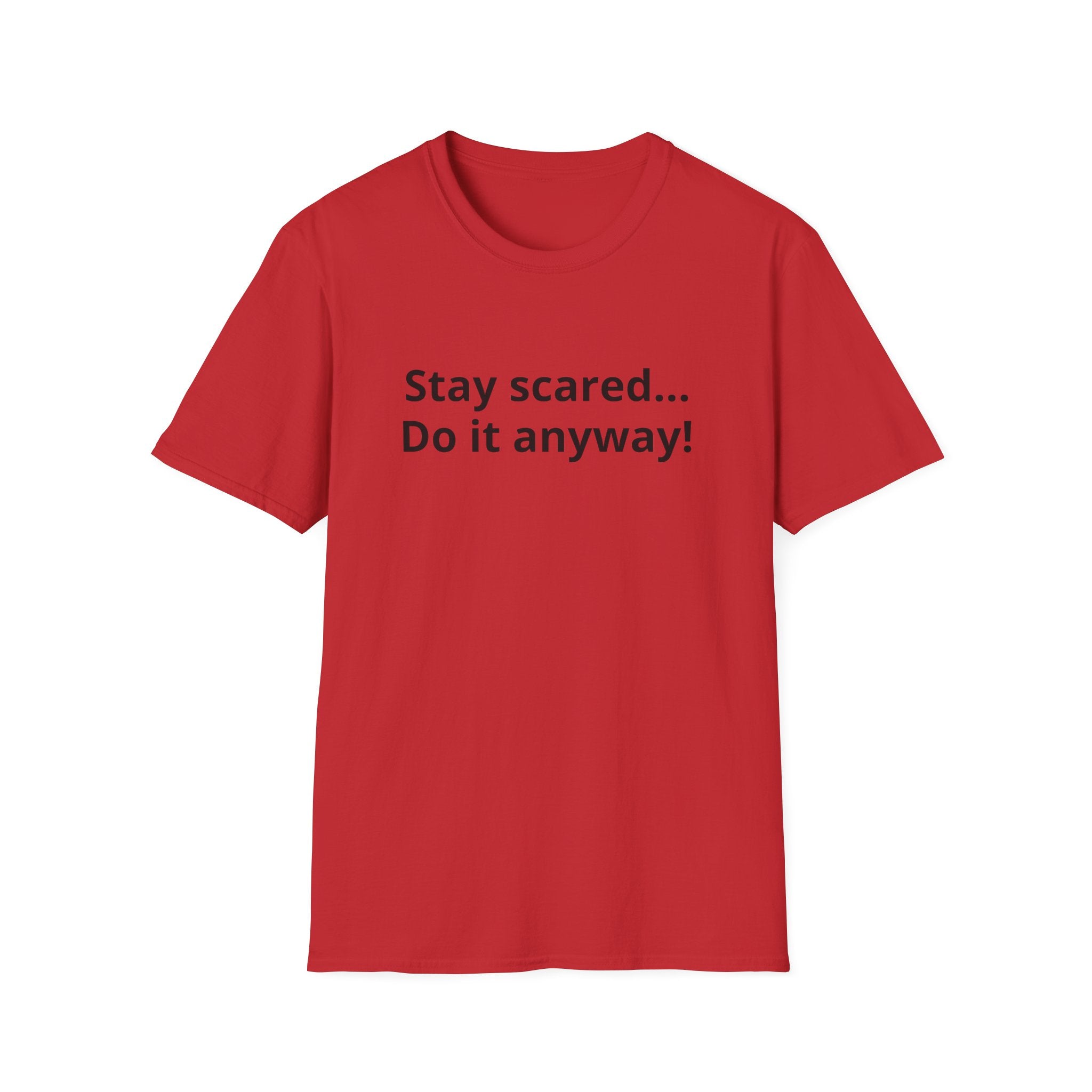 Stay scared... Do it anyway!